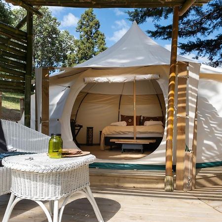 Kerikeri Glamping Hotel Luaran gambar