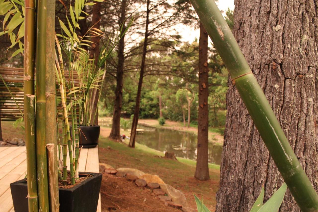 Kerikeri Glamping Hotel Luaran gambar