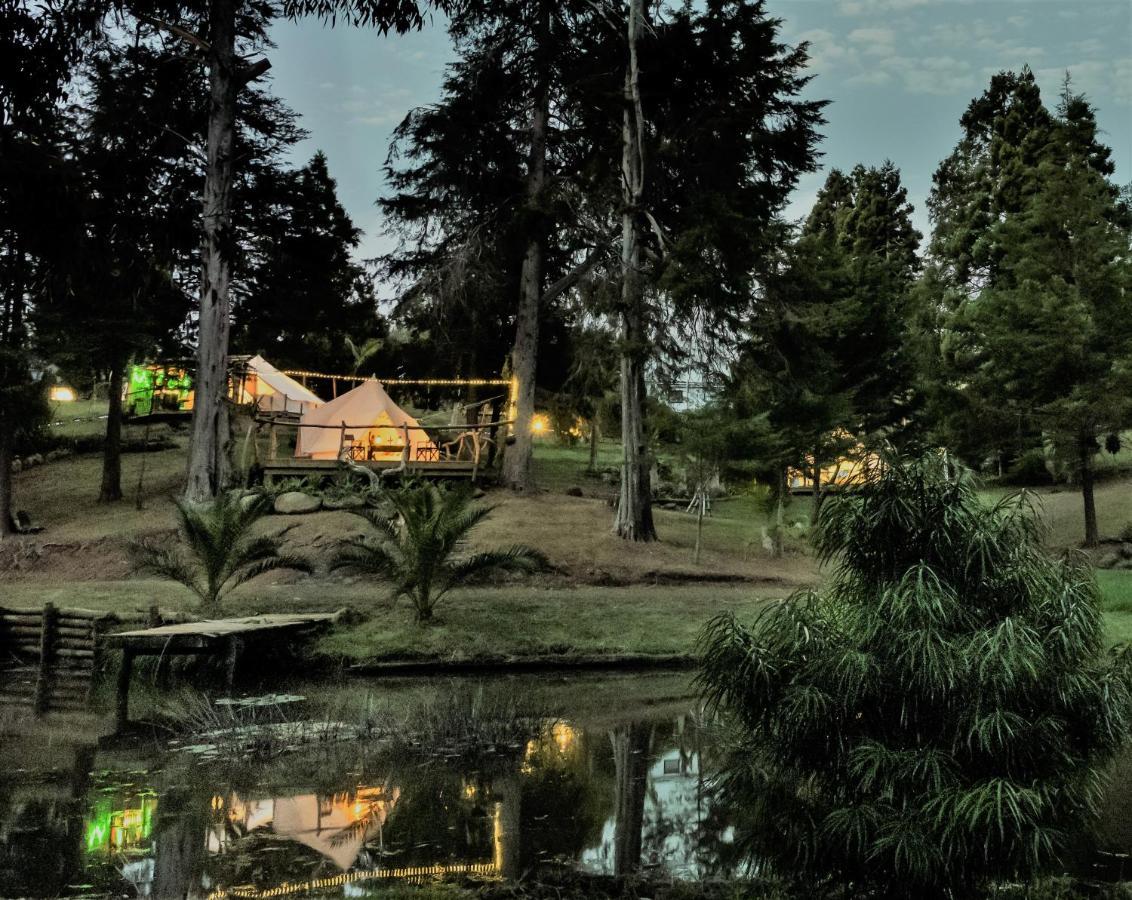 Kerikeri Glamping Hotel Luaran gambar
