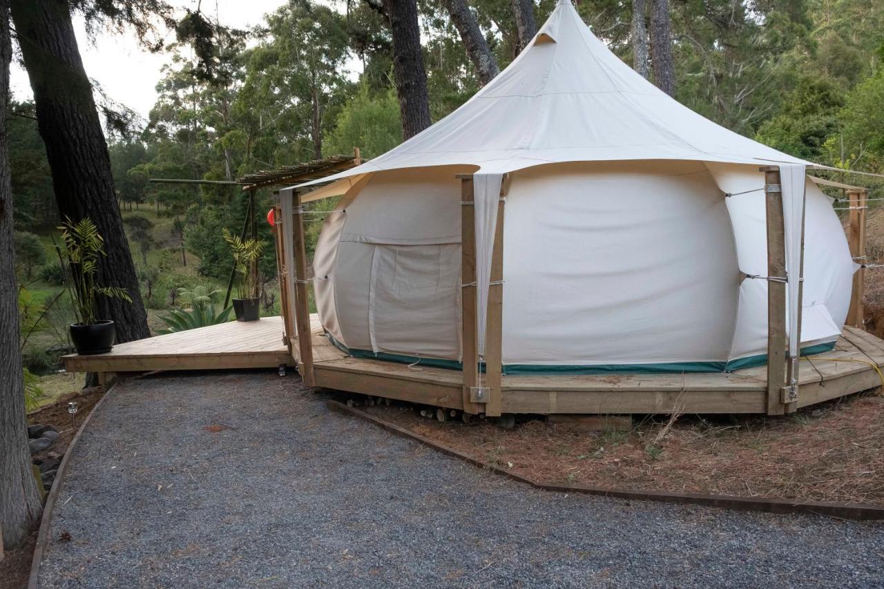 Kerikeri Glamping Hotel Luaran gambar