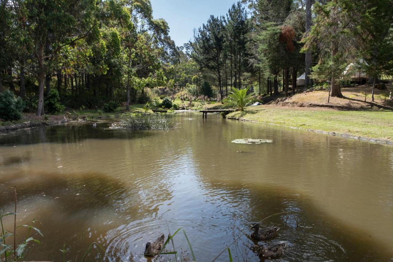 Kerikeri Glamping Hotel Luaran gambar