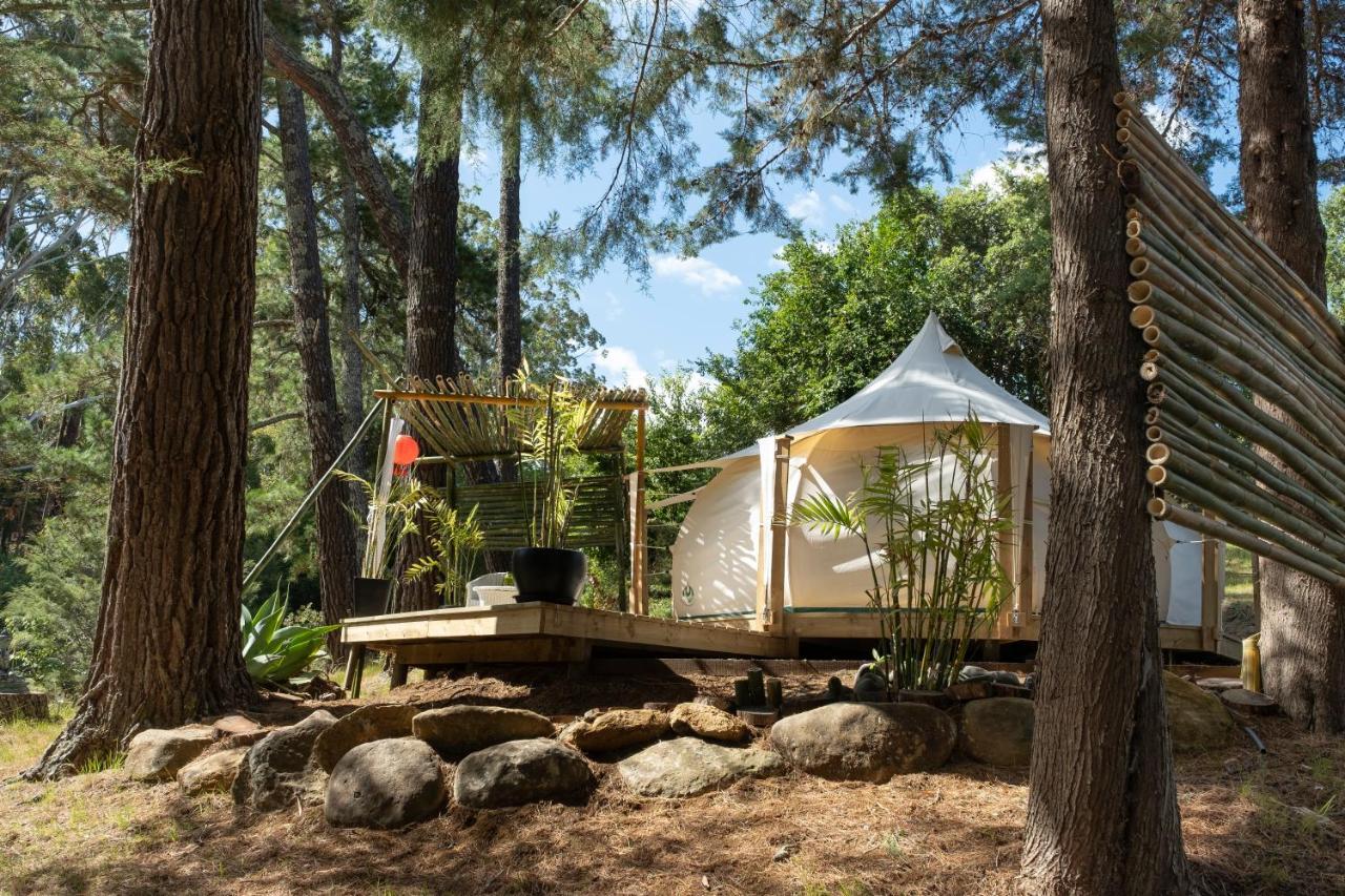 Kerikeri Glamping Hotel Luaran gambar