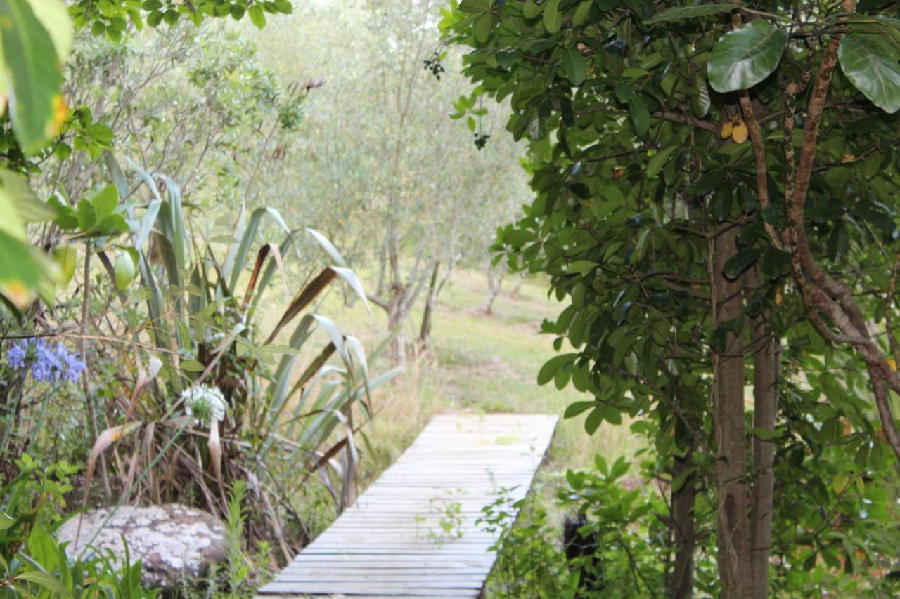 Kerikeri Glamping Hotel Luaran gambar