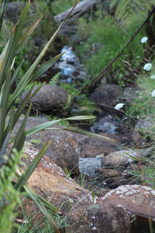 Kerikeri Glamping Hotel Luaran gambar