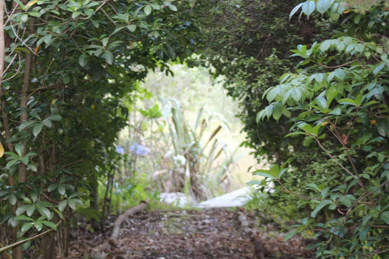 Kerikeri Glamping Hotel Luaran gambar