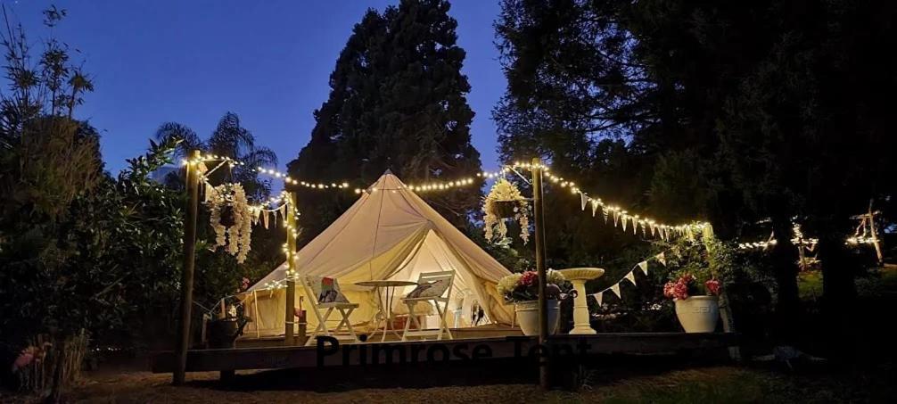 Kerikeri Glamping Hotel Luaran gambar